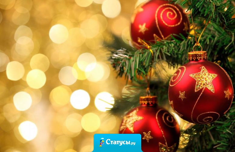 Пусть твоя жизнь в Новом году будет как шампанское – легкой, волнующей, прекрасной и бьющей через край. 