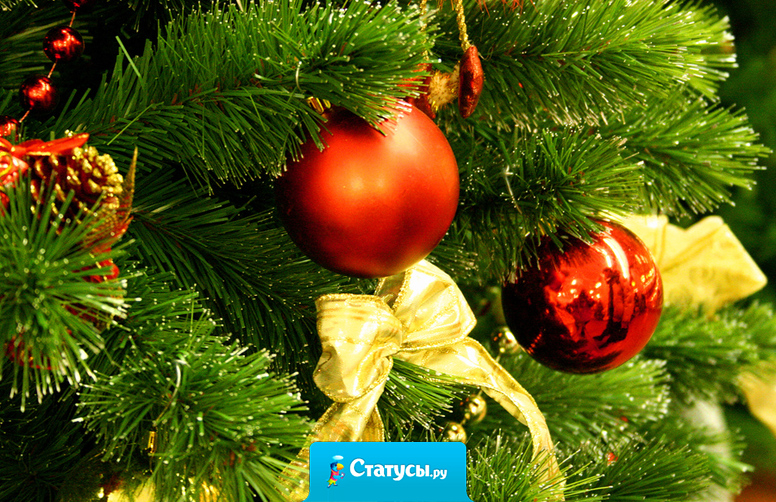 По-моему это кощунство: убить елку, а потом ходить вокруг трупа и петь 