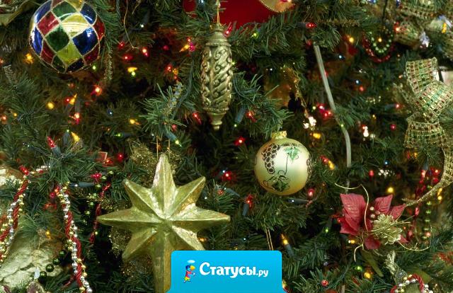 1 января - это день, когда просят прощение за новогоднюю ночь, даже если точно не помнят за что...