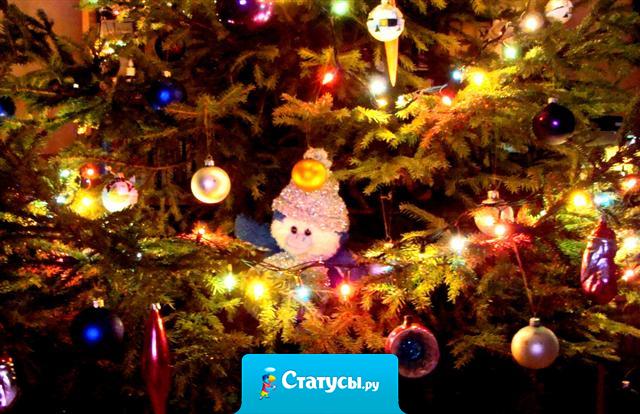 Все, что не случилось, жди и все придет. Будет все, как в сказке В этот Новый Год.