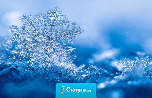 Если снежинка не раста-а-ает, в твоей ладони не раста-а-ает... Блин, чувак, ты труп, стопудово! 