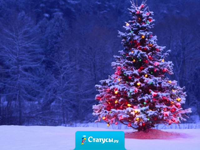 Холодный ветер, морозный вечер, узоры на стекле, снежинки во дворе, скрипучий снег под ногами, зима... И наконец-то Новый Год!