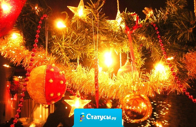 Хочу снежную зиму...запах ели...яркие огни...рядом что бы были самые близкие люди...