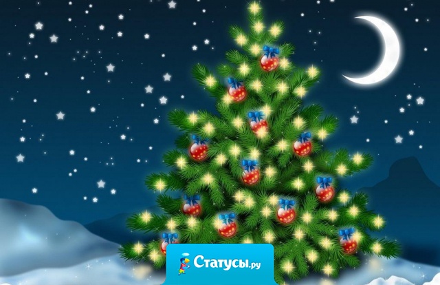 Надо же было так напиться на Новый Год, что даже не помнить что загадала под бой курантов!  