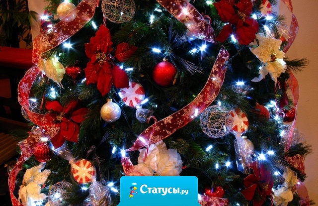 А за старый новый год...я буду пить нечекаясь! 