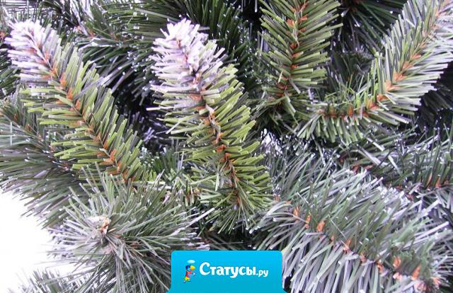 Не мечтаю, чтоб скорее пришел Новый год. Мечтаю выспаться. 