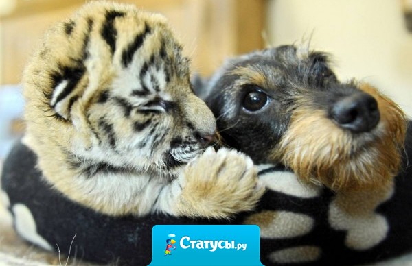 Только настоящие друзья могут понять, что с тобой что-то не так, даже когда ты улыбаешься