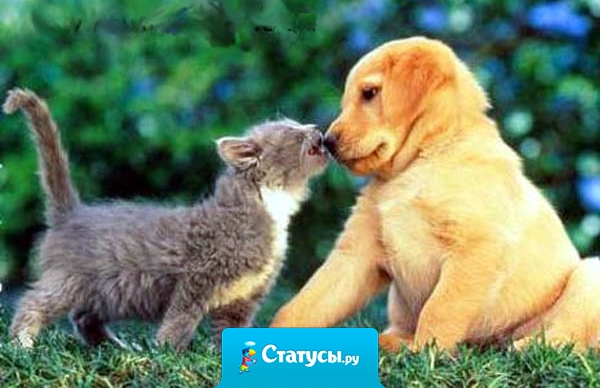 В жопу таких друзей, которые вспоминают мой номер, когда им что-то нужно...