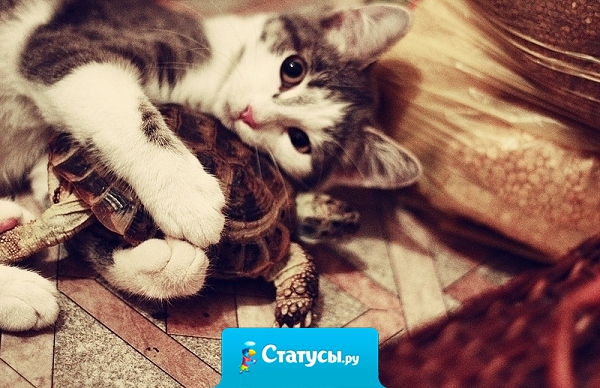 Дорожи общением с теми людьми, которые дорожат тобой.