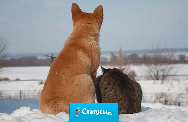 Приятно, когда есть рядом такие люди, которым не важно кто ты, а просто важно, что ты есть...