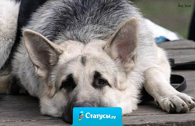 Не пытайтесь искать кого то лучше, а цените того который рядом.