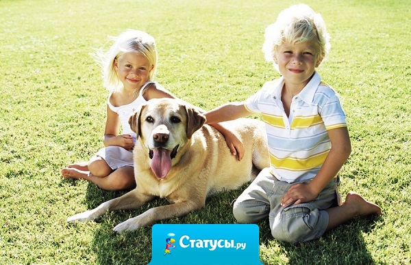 Есть люди, которым мы прощаем, и есть люди, которым мы не прощаем. Те, которым мы не прощаем, это наши друзья.