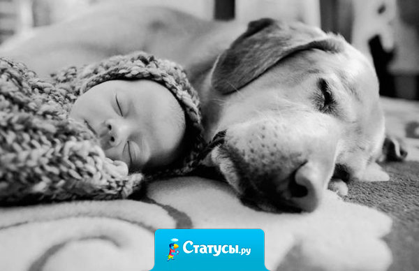 В дружбе нет ни должников, ни благодетелей.