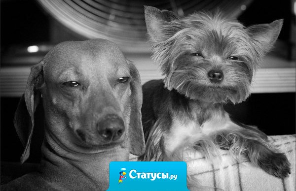 Настоящие друзья всегда могут по ржать над тобой, но они не дадут это сделать другим.