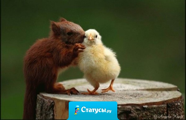 Самое трудное в дружбе - быть вровень с тем, кто ниже тебя...если ты в силах оказать другому любую услугу, взвесь прежде, по плечу ли она ему.