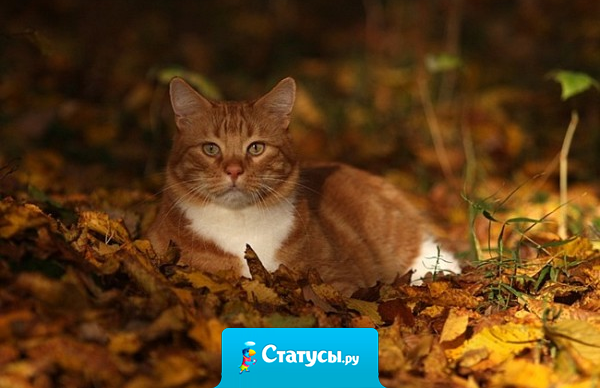 Иного выгоднее иметь в числе врагов, чем в числе друзей.