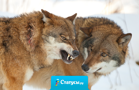 Предательство, как и закон, обратной силы не имеет.