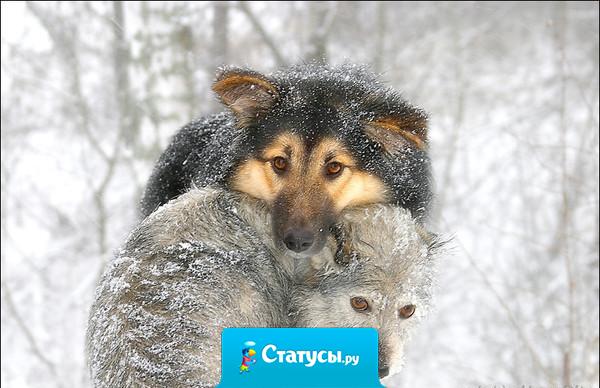 Бог создал тебя дорогим оригиналом, не стань же дешевой копией.