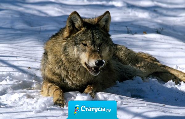 Все всегда должно заканчивается хорошо. Если все закончилось плохо, значит это еще не конец.