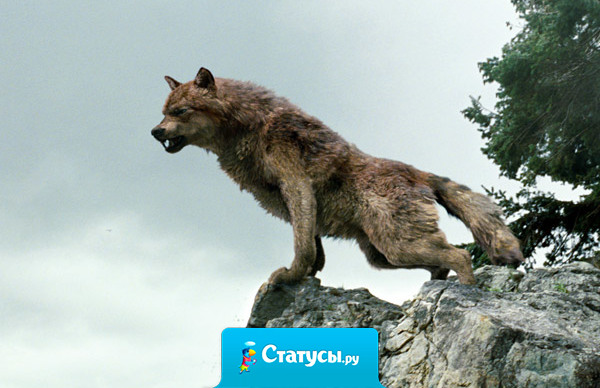 Человек навсегда прикован к прошлому: как бы далеко и быстро он ни бежал — цепь бежит вместе с ним.