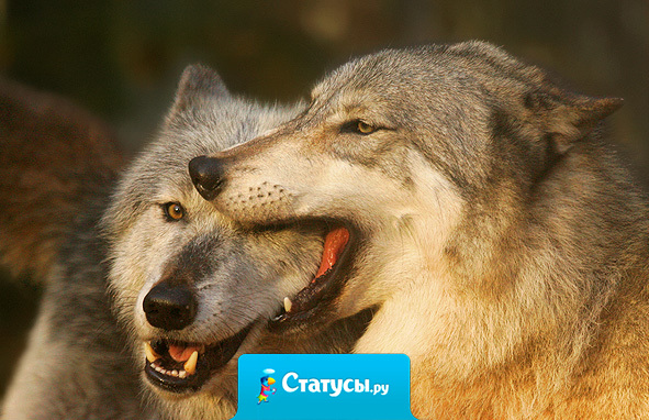 Некоторые люди привлекают к себе внимание, совершая плохие поступки, потому что ни чем другим они выделится не в состоянии.