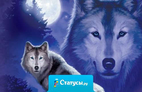 О нас думают плохо лишь те, кто хуже нас, а те, кто лучше нас... Им просто не до нас.