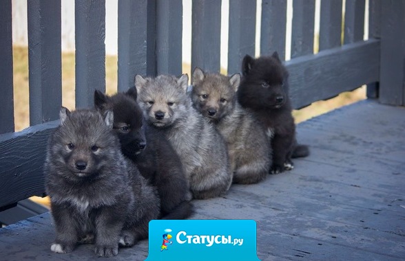 Бесполезно привлекать человека своим статусом, если не можешь привлечь его своей личностью.