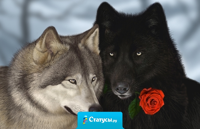 Когда к тебе обращаются с просьбой: «Скажи мне только честно!», с ужасом понимаешь, что сейчас придётся много врать.