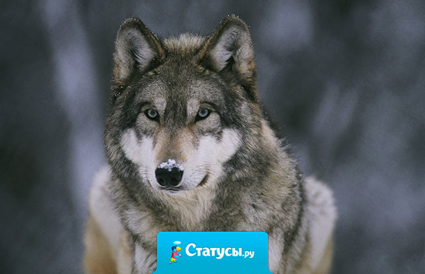 Идея пришла в голову, и теперь битый час упорно ищет мозг.