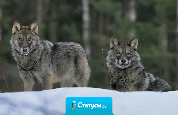 Женщина никогда не замечает того, что для неё делают, но она всегда заметит, чего для неё не делают.