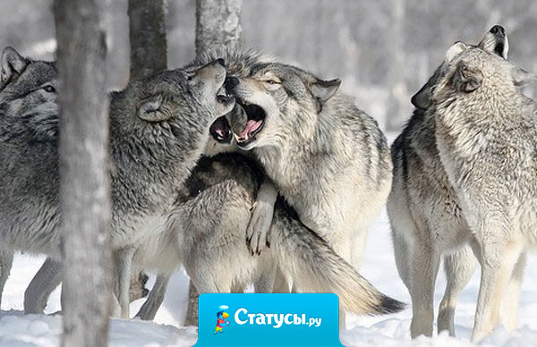 Нельзя постоянно винить себя за что-то. Обвините себя разок, и спокойно живите дальше.