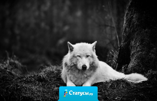 Причинить самую страшную боль может лишь тот, кто подарил больше всего счастья.