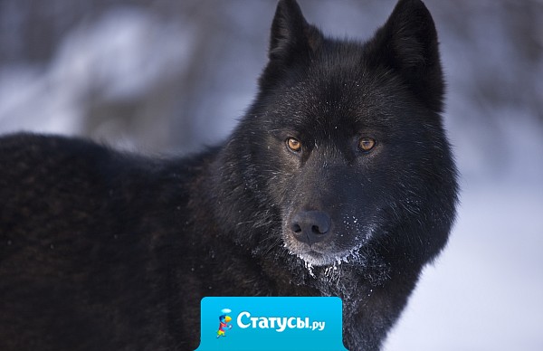 Наша жизнь - размытый контур… У неё нет границ… Мы вольны в своих мыслях и действиях.