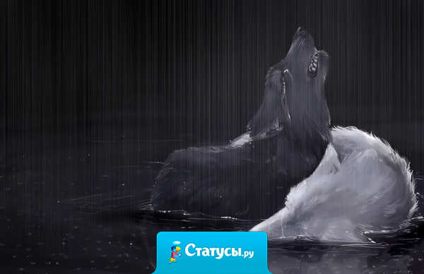 Жизнь - это всего лишь игра. И иногда нужно уметь терять что-то, даже если не хочется, чтобы затем выйти победителем.