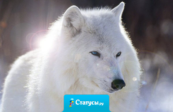 Одни философски смотрят на вещи, другие - на их отсутствие.