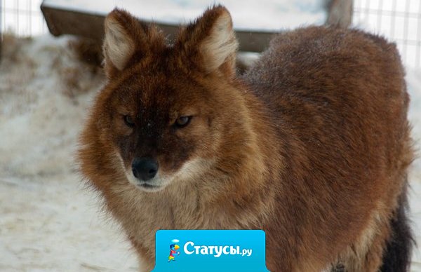 Говорить человеку гадости и пытаться оскорбить его мерзкими словечками - это низко, и присуще тем кто безнадежно слаб.