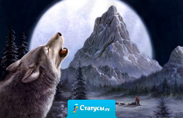 Прежде чем добиваться желаемого с легкостью, нужно научиться добиваться желаемого с усердием.