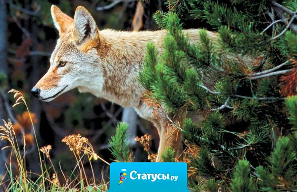 Людям нужно доверять... но у каждого из них свой кредит доверия. Поэтому прежде чем довериться человеку в чем-то, нужно узнать его кредитную историю...