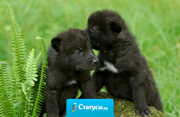 Хочешь, чтобы жизнь тебя любила? Сперва, научись любить её.