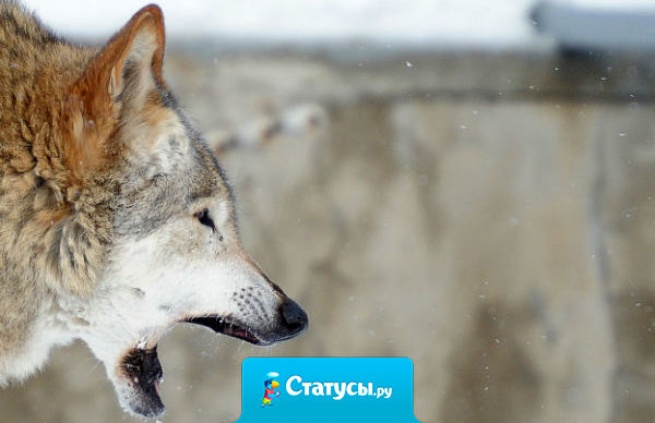 Информация не является знанием. Единственным источником знаний является опыт.