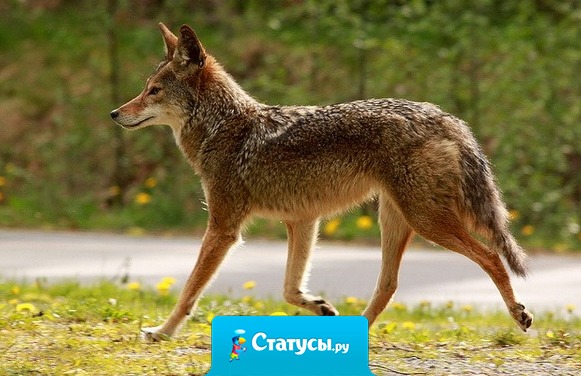 Не бойся, если ты один. Бойся, если ты ноль.