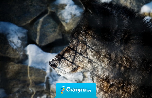 В книгах описана жизнь, которая состоит из великого многоженства игр. Игр, в которые играют люди. Хорошая книга точно описывает эти игры, плохая - приближенно.