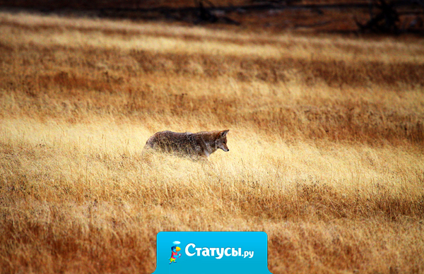 Каждому человеку свойственно ошибаться, но никому, кроме глупца, не свойственно упорствовать в ошибке.