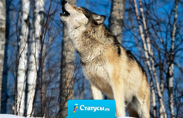 Лучше уж ходить с пустой головой, чем барахтаться в каше из недодуманных мыслей.