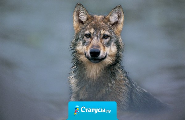 Мы теряем в жизни худшее для получения лучшего.