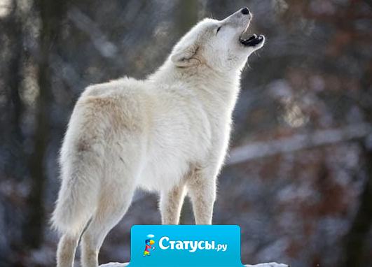 Даже если у тебя нет ничего – у тебя есть жизнь, в которой есть всё…