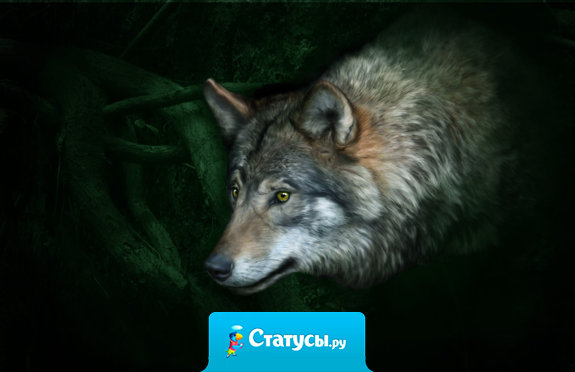 Когда мы счастливы, мы всегда добры; но когда мы добры, мы не всегда счастливы.