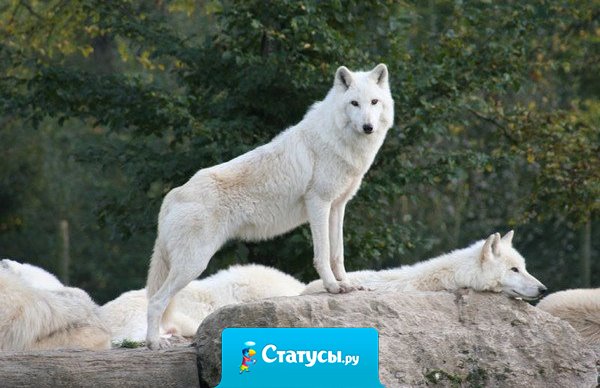 Хочешь вкусно и с удовольствием поужинать – откажись от обеда.