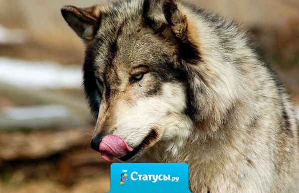 Считаете, что о Вас позабыли абсолютно все? Тогда попробуйте на пару дней задержать платеж по кредиту.