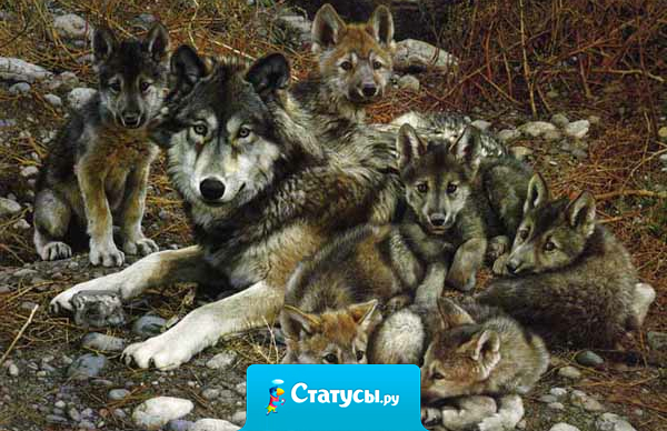 Все люди имеют право на ошибку, только одни ошибаются больше, другие - почти всегда.